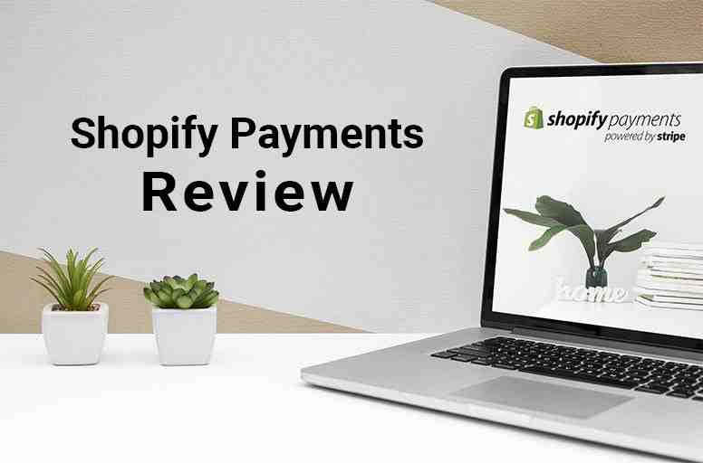 What is considered a Shopify payment?